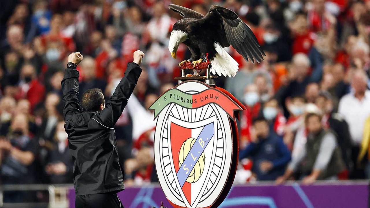 Mercato : Benfica recrute deux pépites scandinaves !