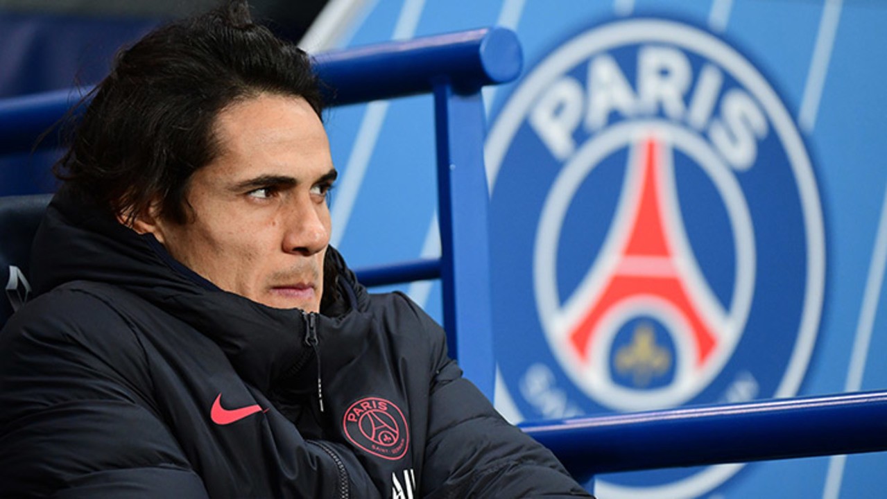 cavani-froid-banc-logo-psg