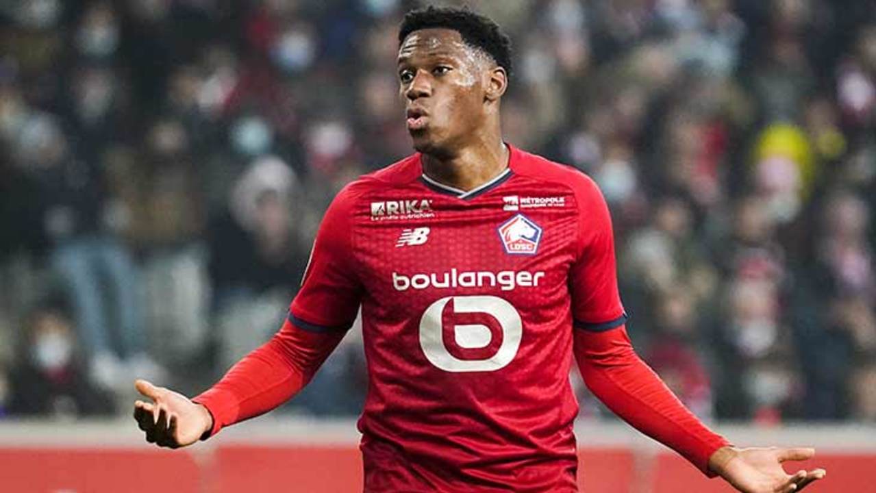 david-losc-confus