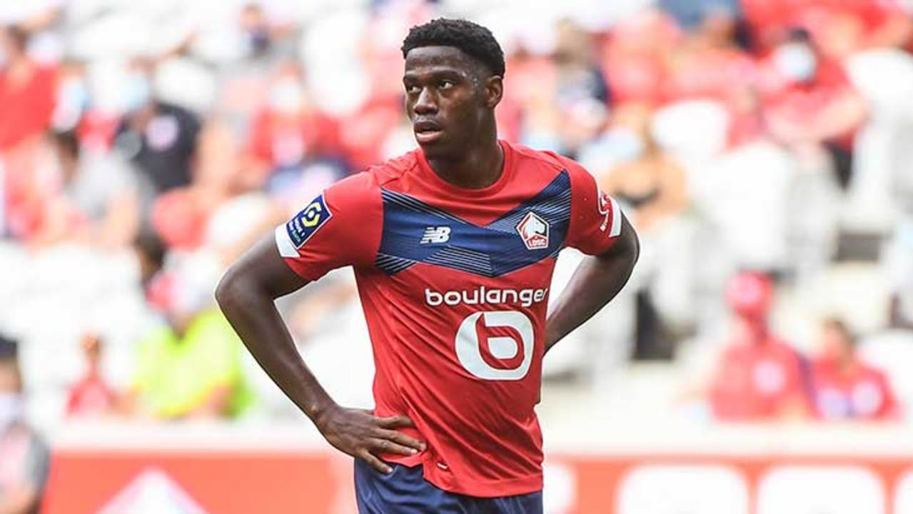 david-losc-regard