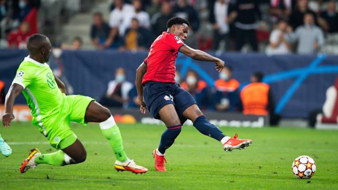 David Wolfsburg LOSC