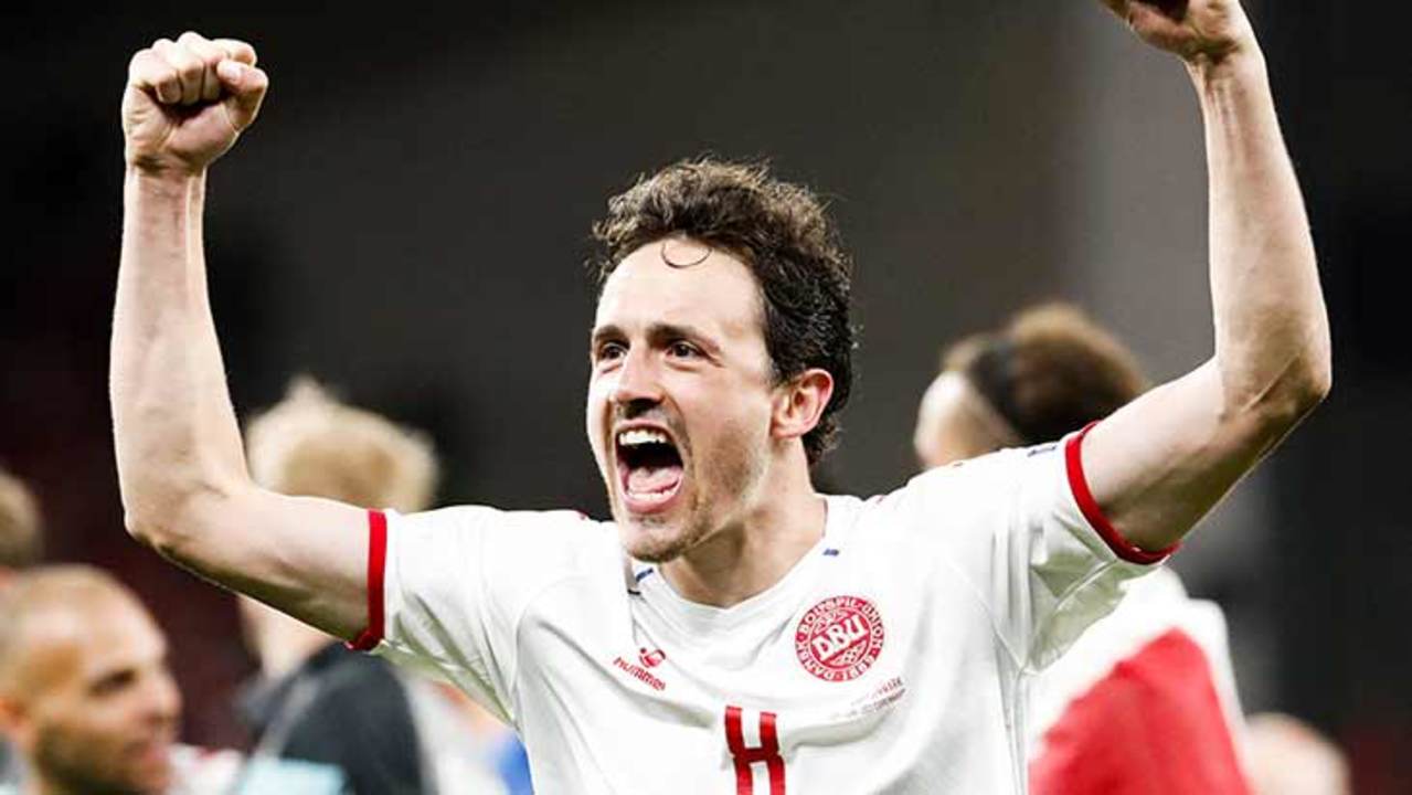 delaney-danemark-joie