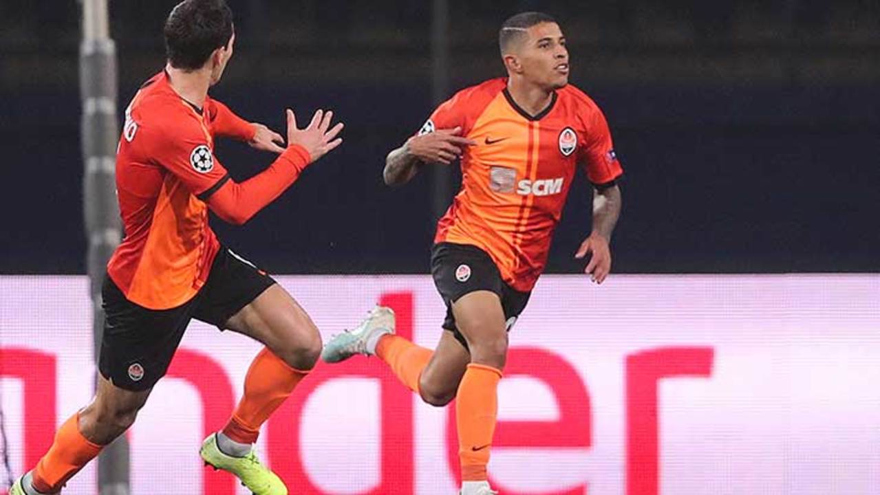 dodo-shakhtar