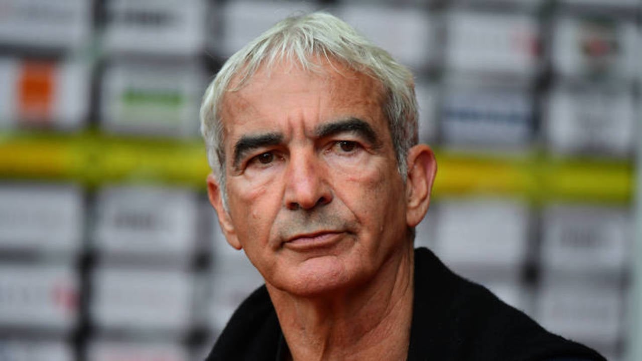 domenech-regard