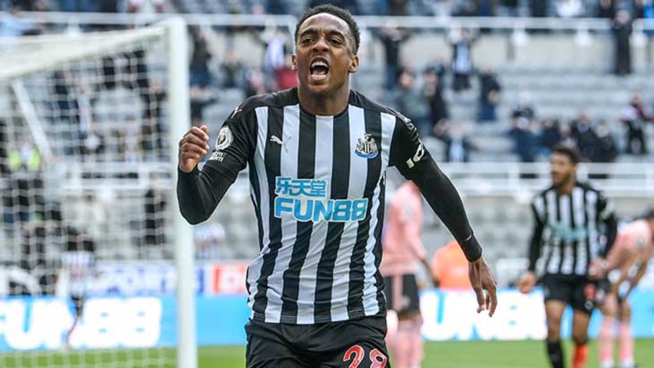 joe-willock-newcastle-new