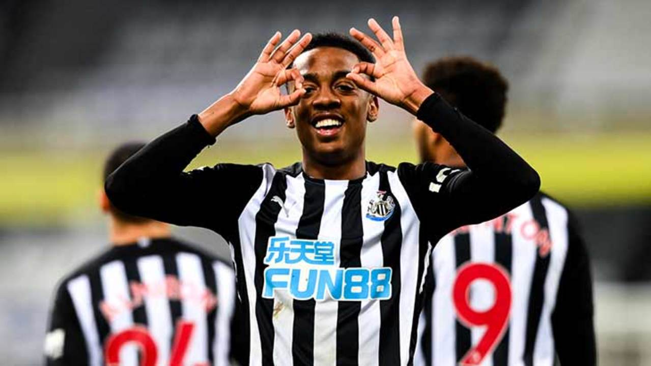 joe-willock-newcastle