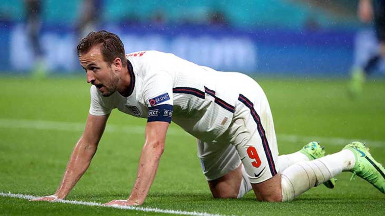 kane-angleterre-quatre-pattes