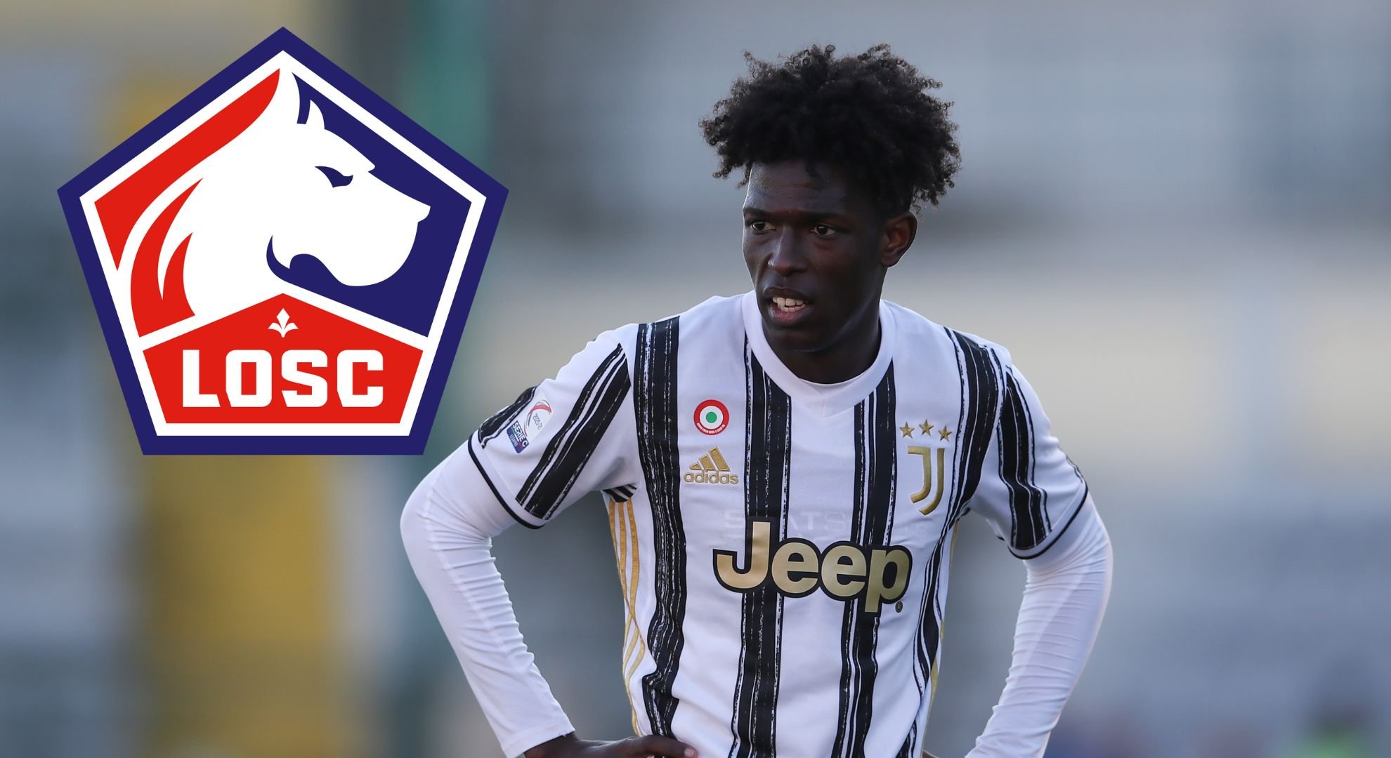 Mercato LOSC : le nouveau Zhegrova déniché pour 7,5 M€