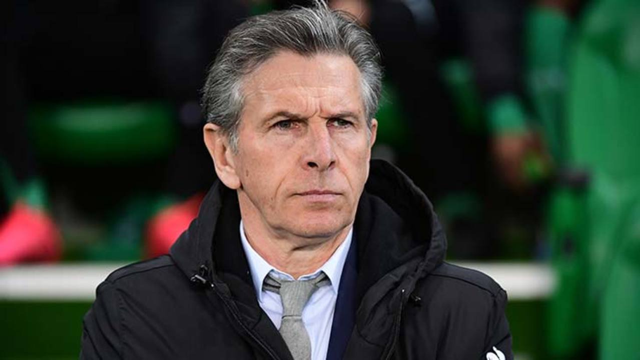 puel-asse-buste