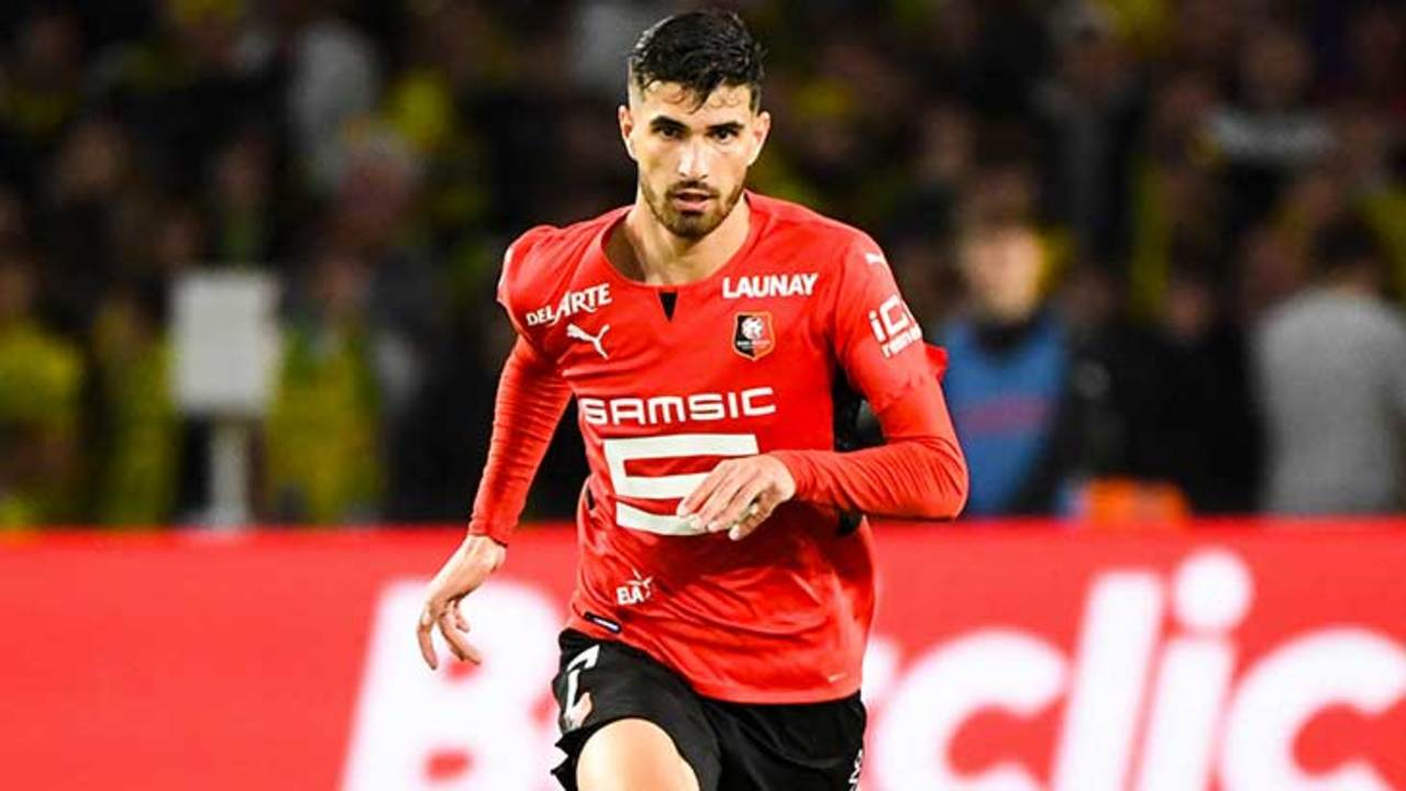 terrier-nantes-rennes