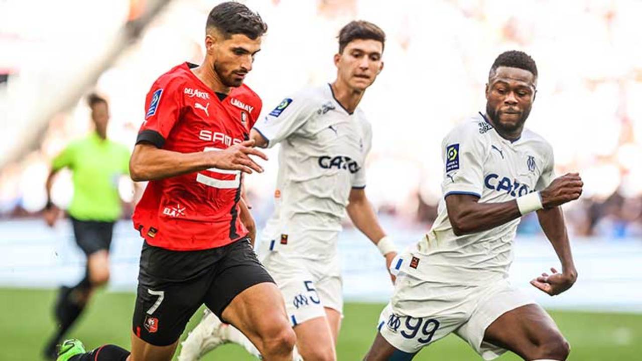 terrier-om-rennes