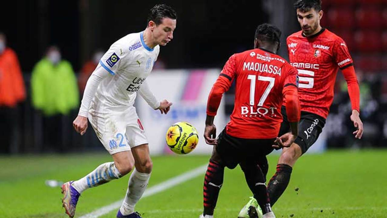 thauvin-mouassa-terrier