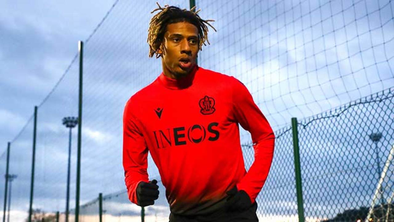 todibo-nice-training